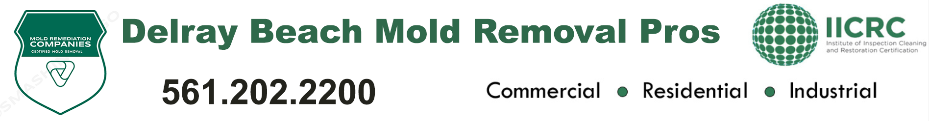 Delray Beach Mold Removal Pros