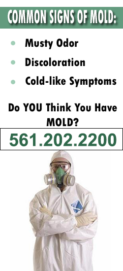 Delray Beach Mold Remediation Contractor
